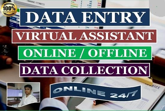 I will be your virtual assistant for online and offline data entry jobs