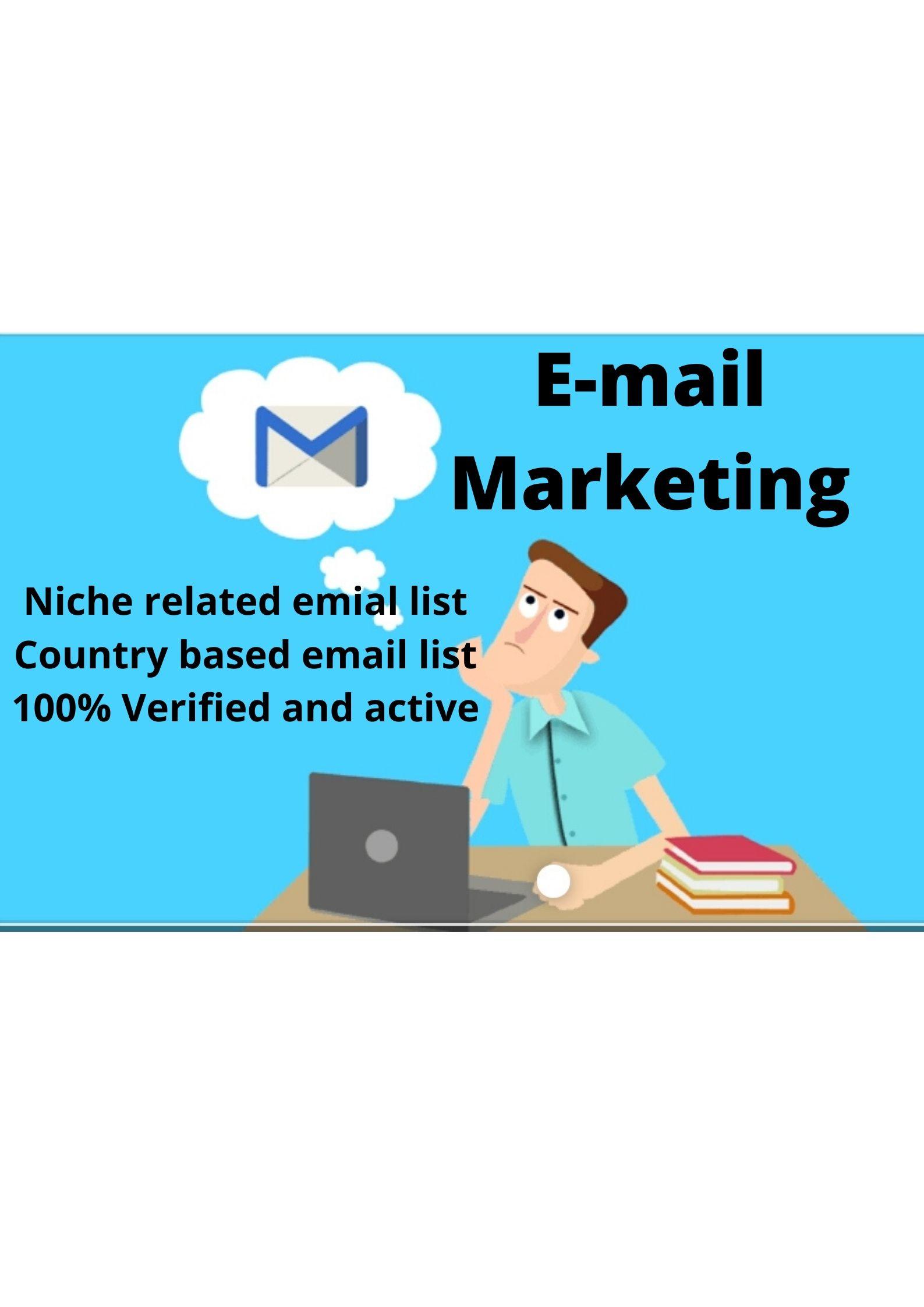 Provide 5k USA targeted niche based email list for you 