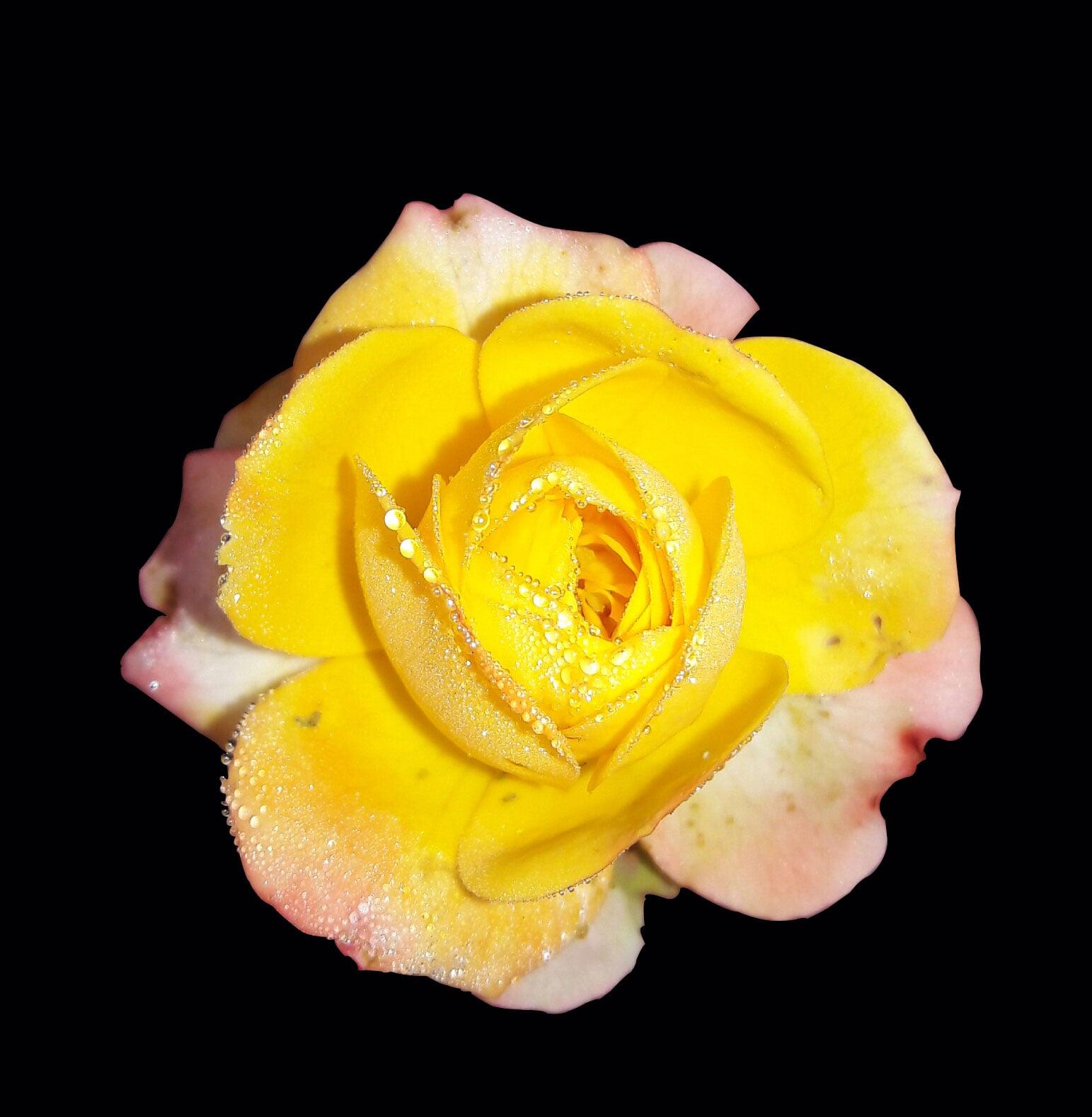 I will remove background super fast just in 3 hours 