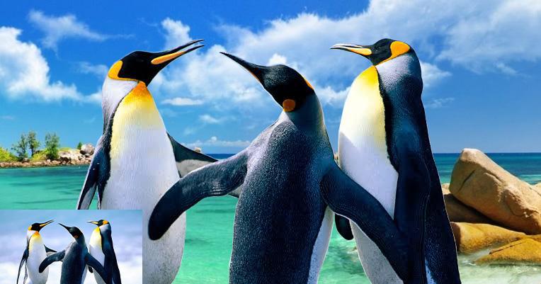 I will do professional background remove