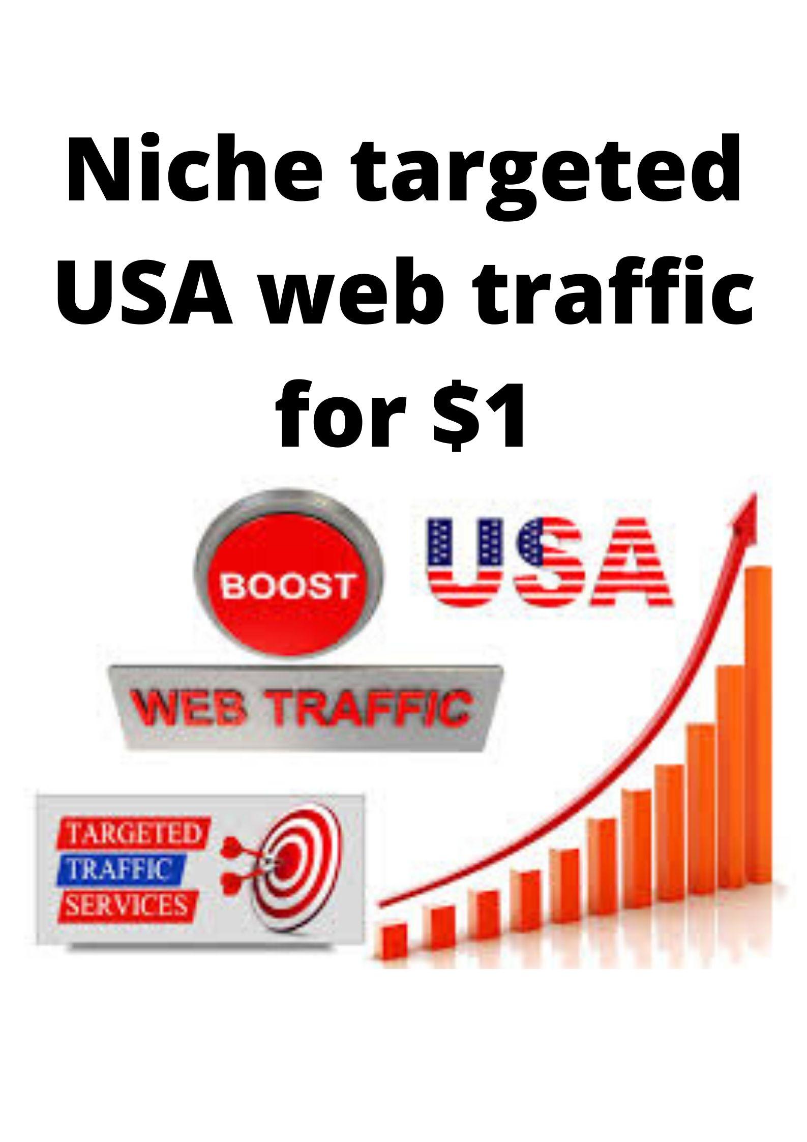 Niche targeted USA web traffic for your website 