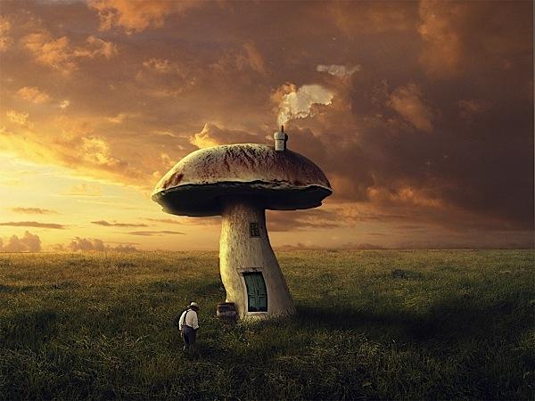 I will photo manipulation editing photoshop