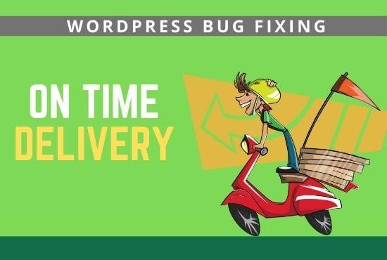 I will fix or debug 1 WordPress website issue, critical error quickly