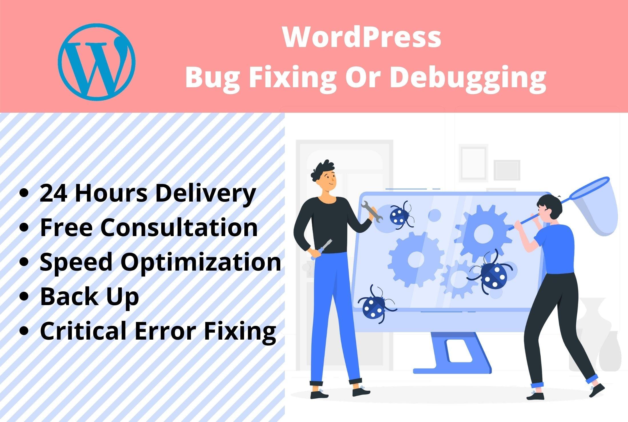 I will fix or debug 1 WordPress website issue, critical error quickly