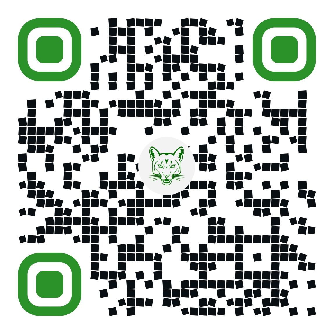 I will create a world class professional QR Code with logo 