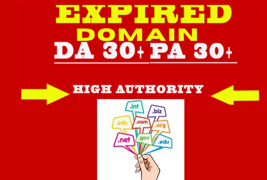 I will find & research 1 niche relevant Expired Domain 