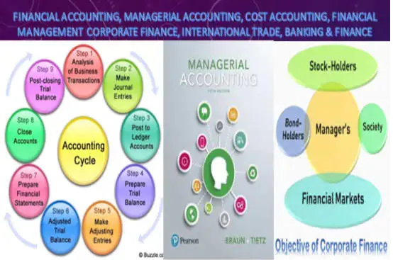 I will do research writing, business finance, management case study