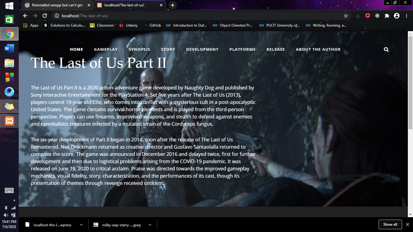 I will create a full professional WordPress Website 