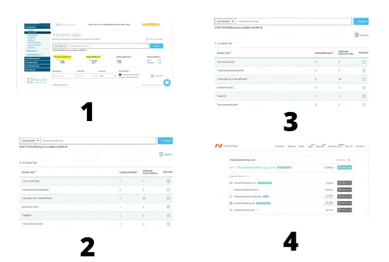 I will find 100 percent Quality and High Metrics expired domain