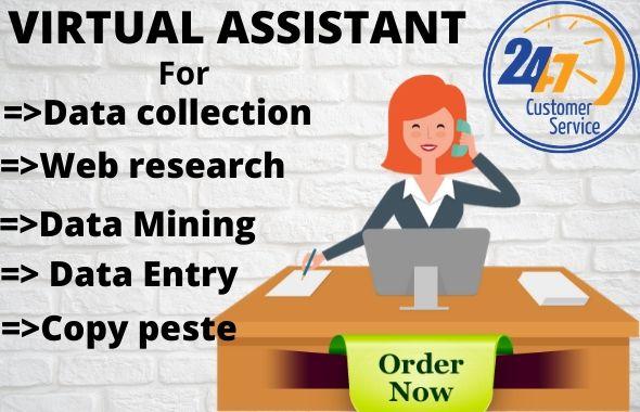 I will be your virtual assistant for long time data entry, data mining, administration