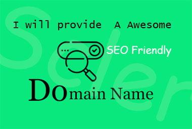 I will research and provide a awesome catchy business , seo friendly domain name for you
