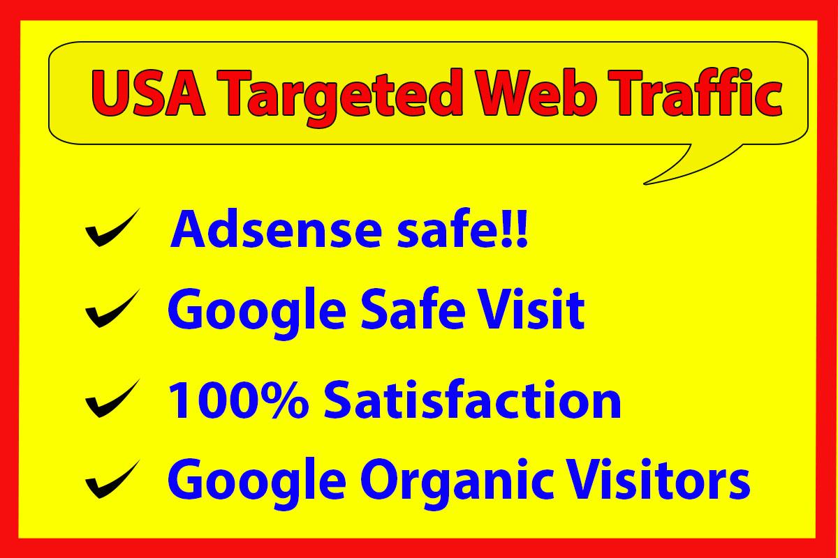 I will Provide targeted web traffic from social media