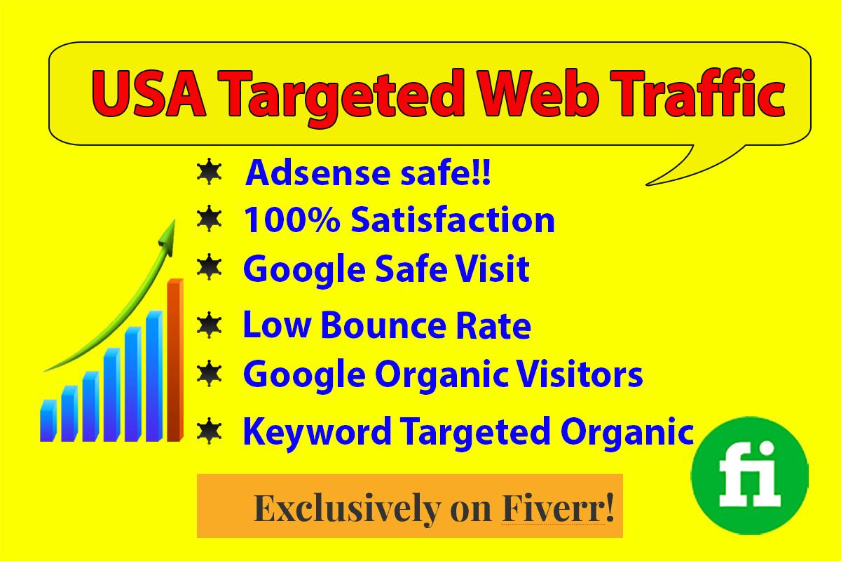 I will Provide targeted web traffic from social media