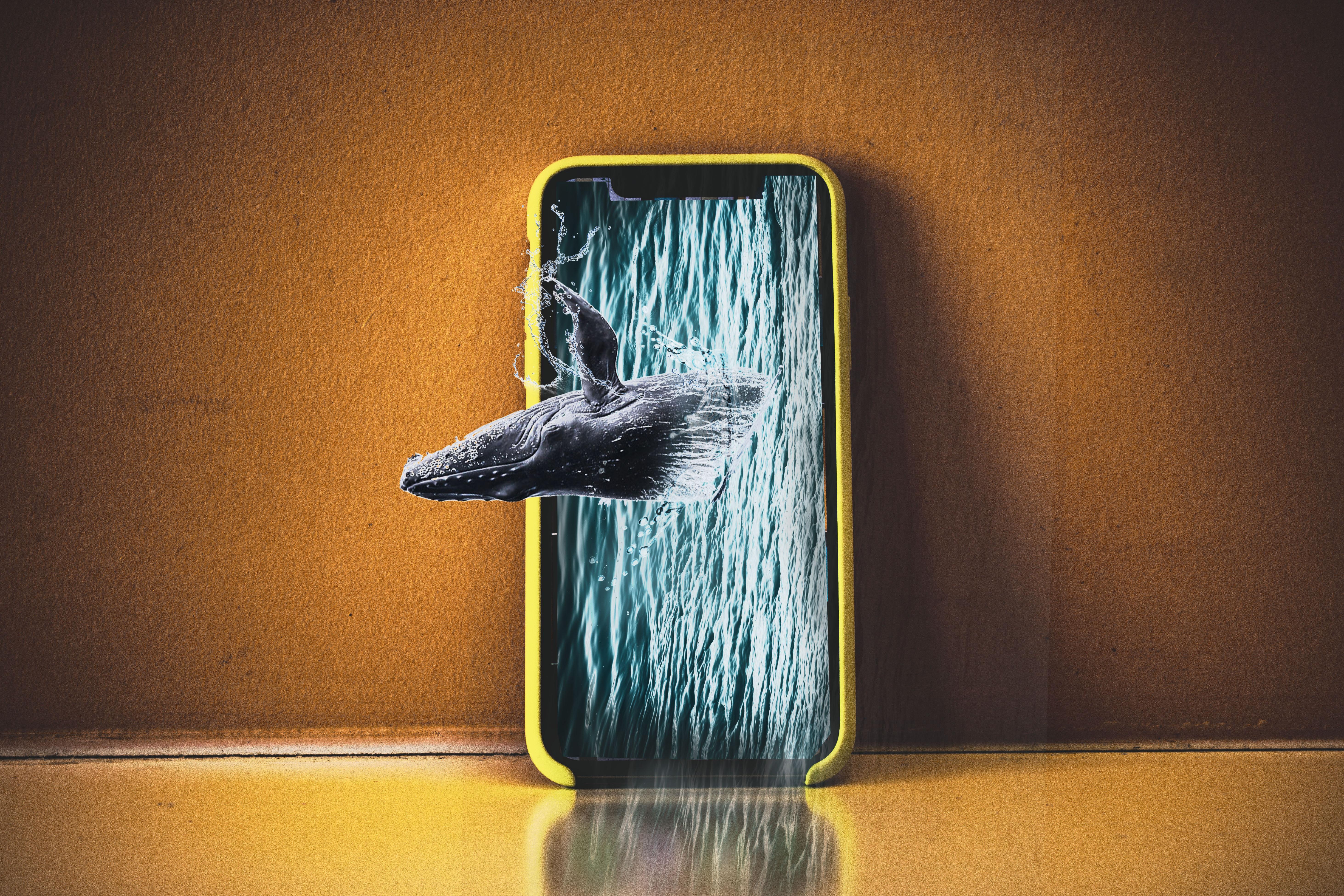 Photo Manipulation in adobe Photoshop and Adobe Illustrator