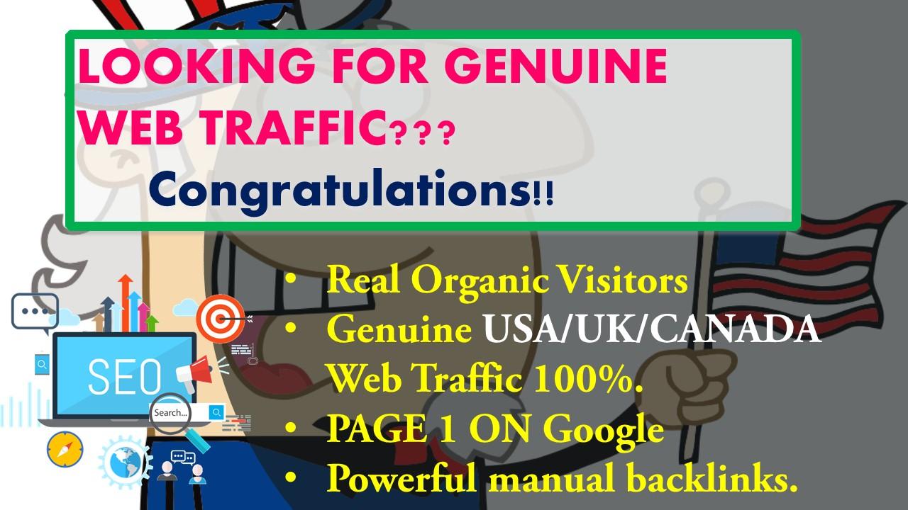  I will drive Genuine USA based web Trafic .