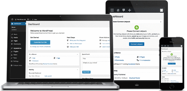 I will create mobile friendly business wordpress website 