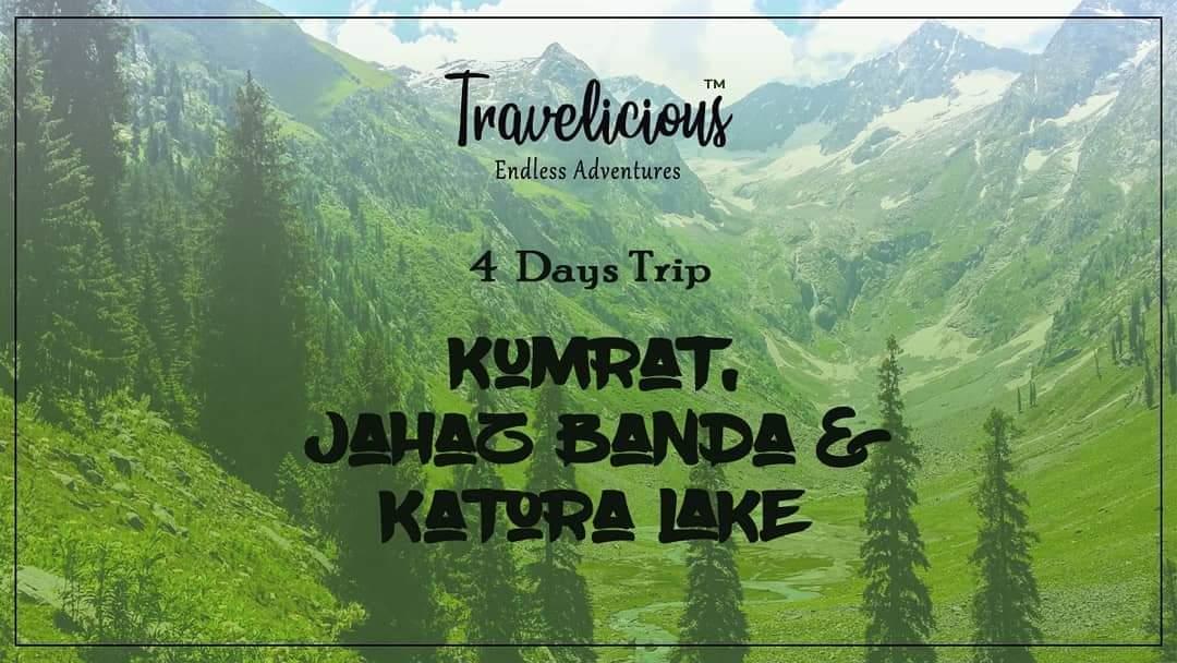 Logo Designing,brocher designing,poster designing,