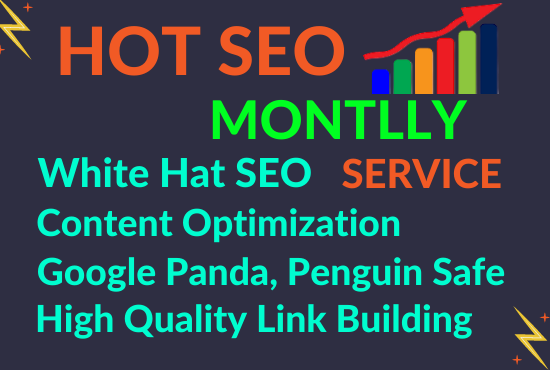 high quality manually safe permanent SEO link building