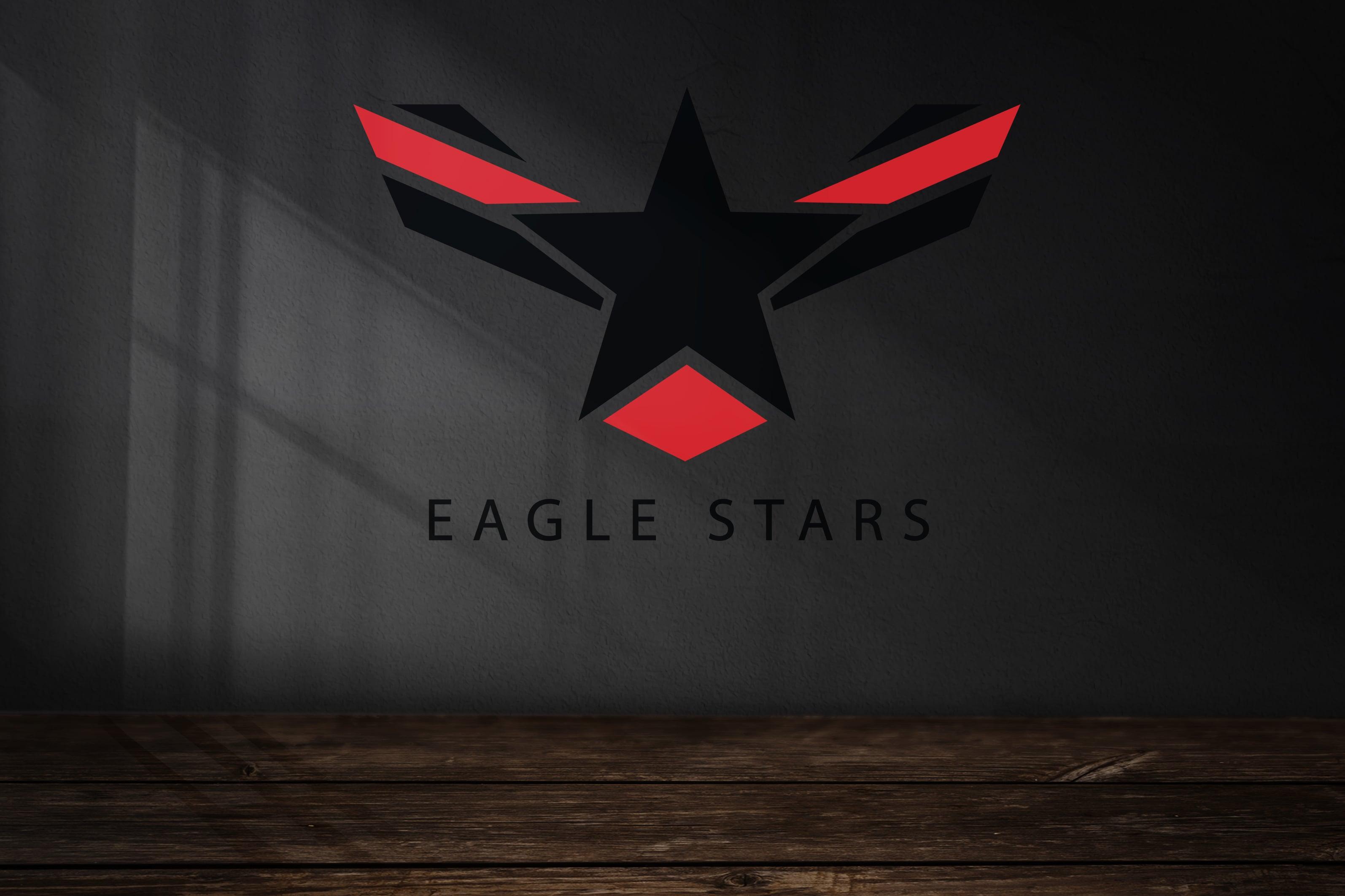 I will design an attractive logo