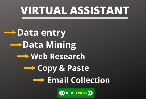 I will be your Virtual Assistant for data entry,copy paste and web research