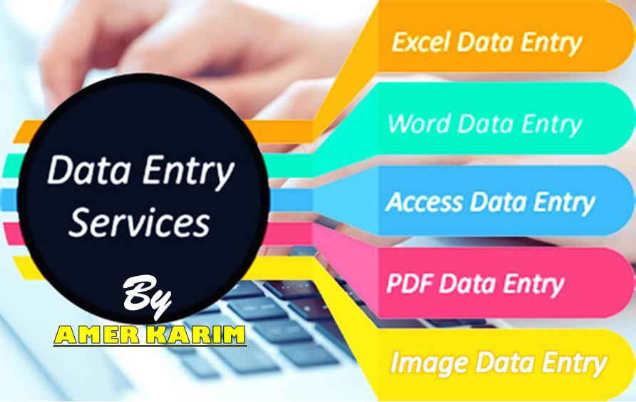 Data Entry Services (MS Word, MS Excel, MS Access)