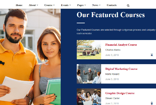 I will create a professional website for your business