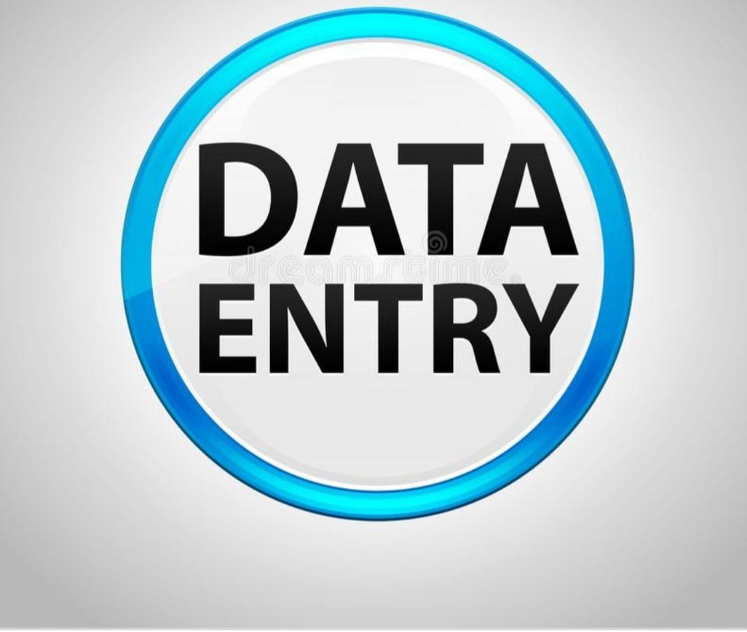 Expert in Data entry and programming services 