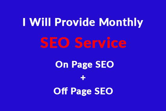 I will Provide Monthly SEO Service.