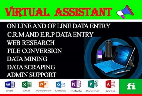 I will be your reliable virtual assistant for data entry, web research and copy