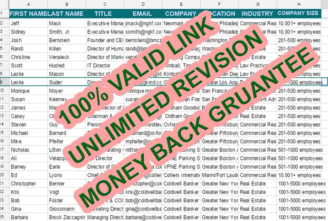 B2B Lead Generation with 100% verified Email