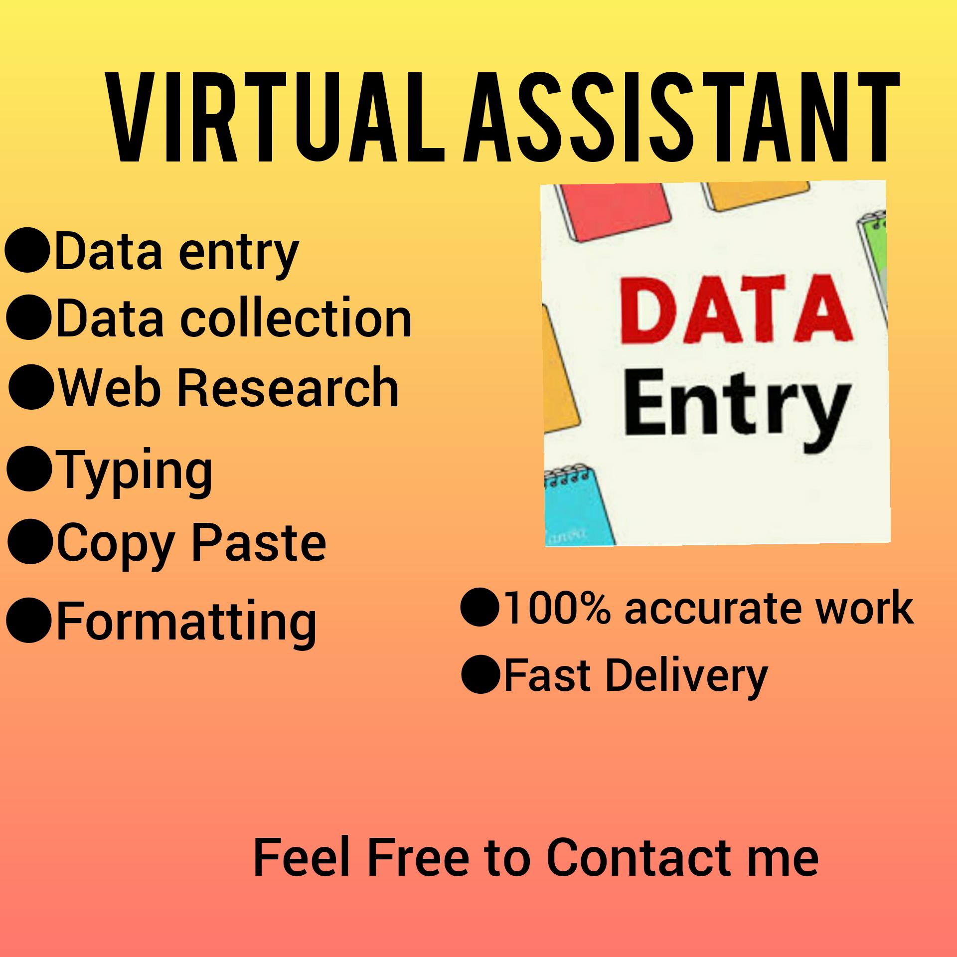 I will do data entry,typing,copy paste work 