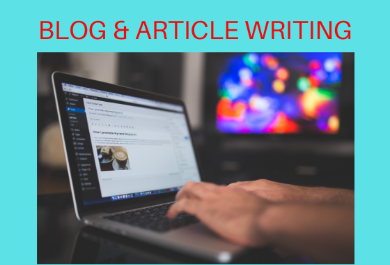 I will write high quality, SEO optimized article or blog post.
