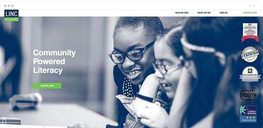 I will design wordpress nonprofit website for nonprofit charity donations