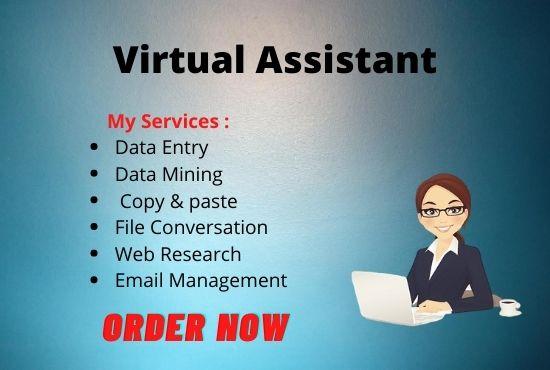 I will be your virtual assistant, analytics, research, marketing