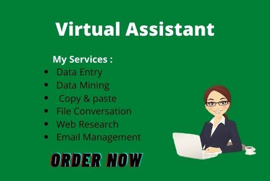 I will be your virtual assistant, analytics, research, marketing