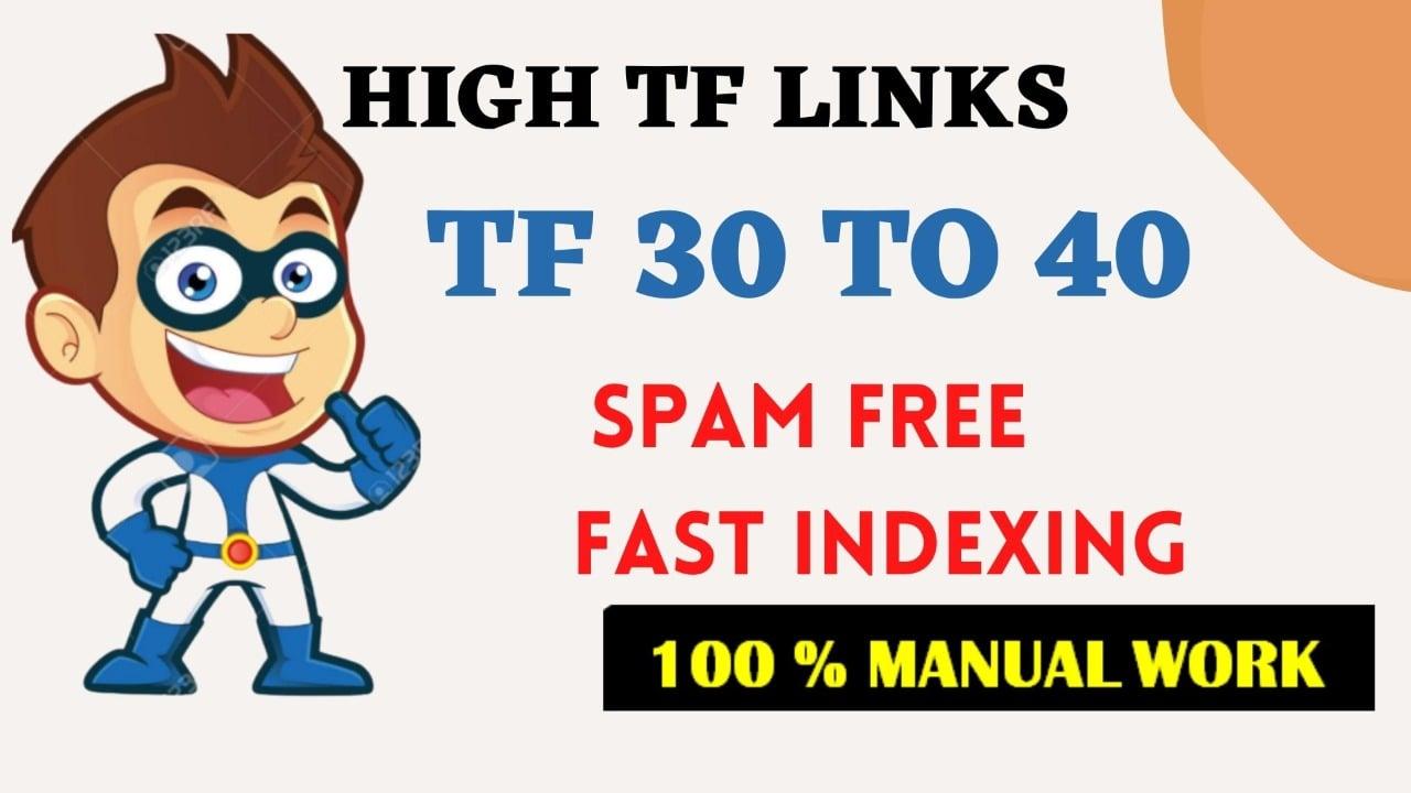  I will give 3 homepage dofollow SEO backlink tf 30