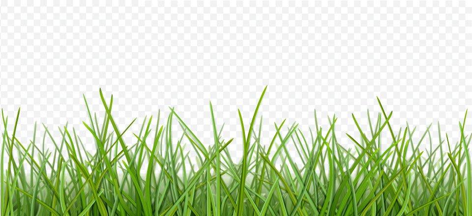 I will do background removal to your photos