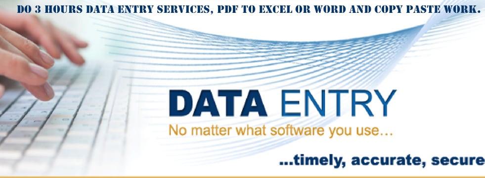 I will do 2 hours data entry services, pdf to excel or word and copy paste work
