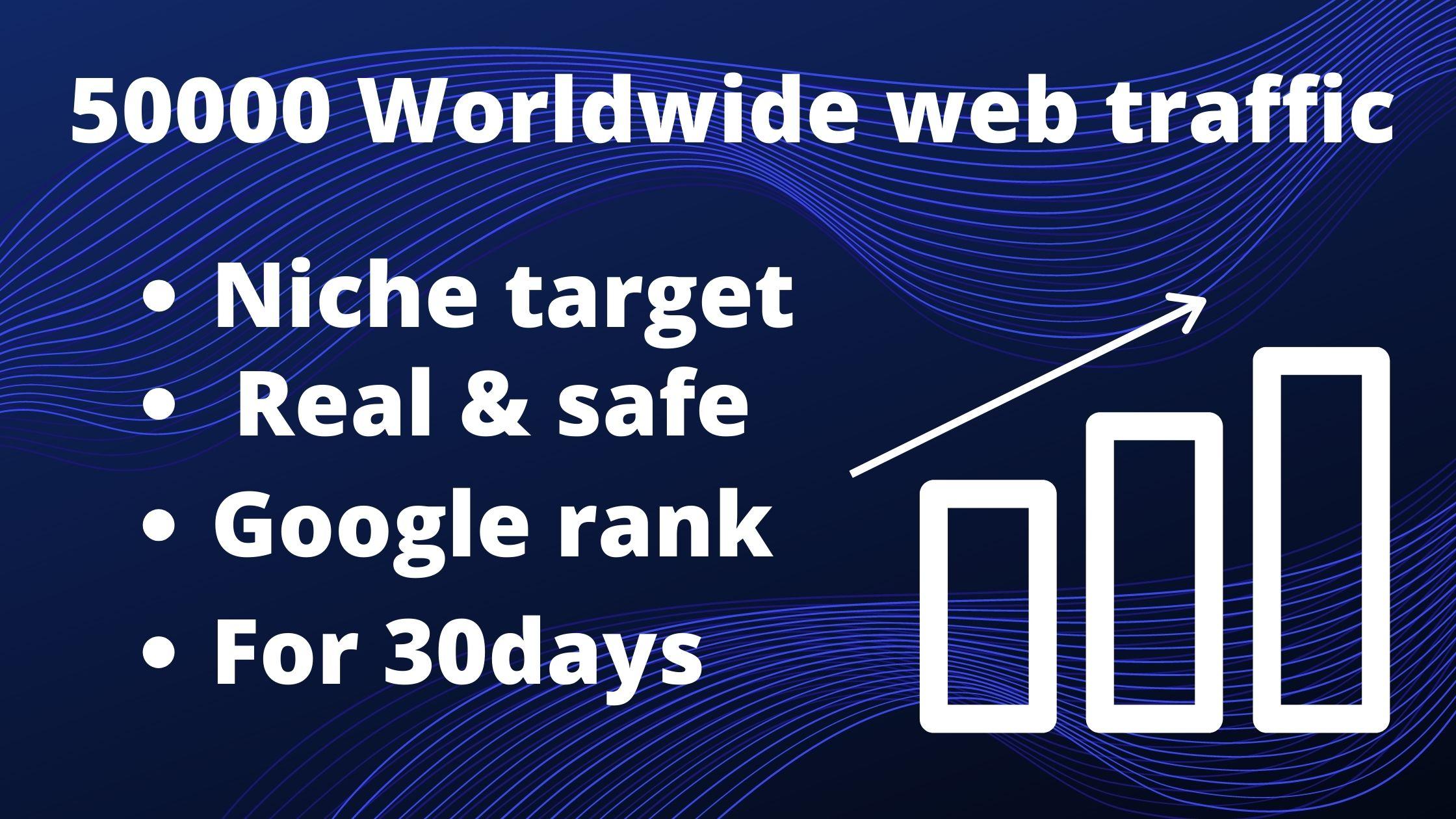 I will send 50,000 real USA web traffic to your website in 5 days