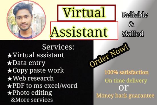I will be your skilled virtual assistant 