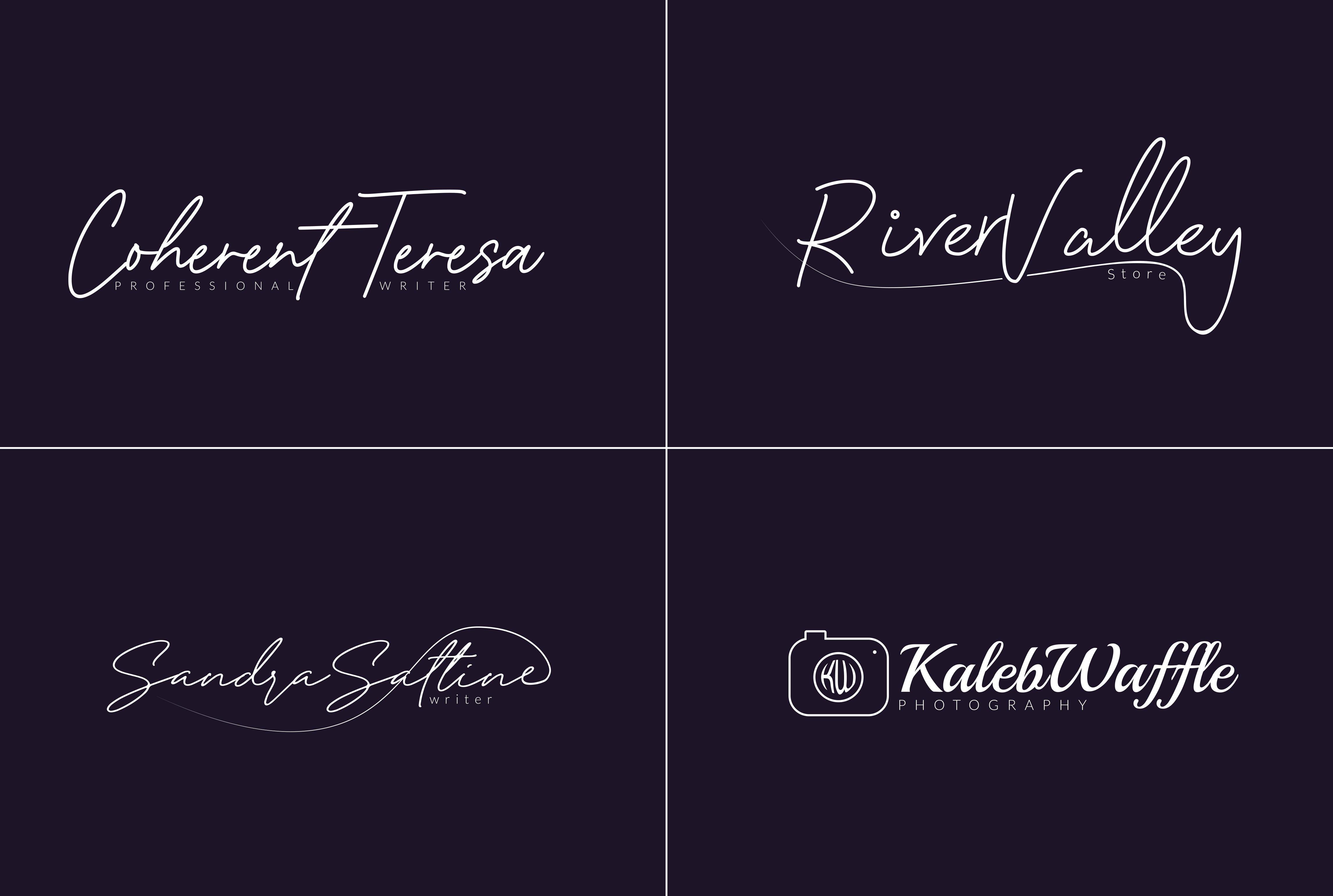 I will do clean signature logo, script logo, handwritten or text logo in 12hrs