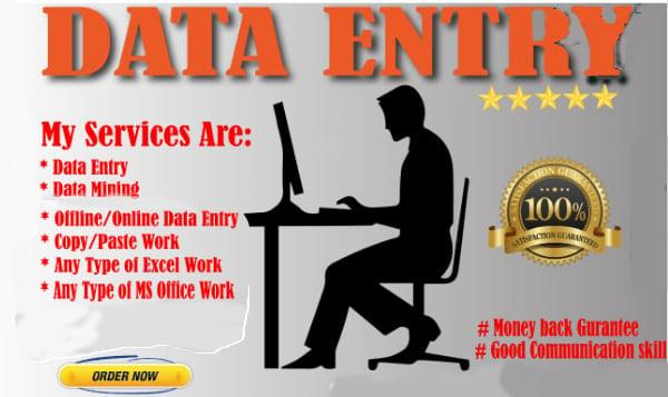 Do all kinds of data entries and Document conversions