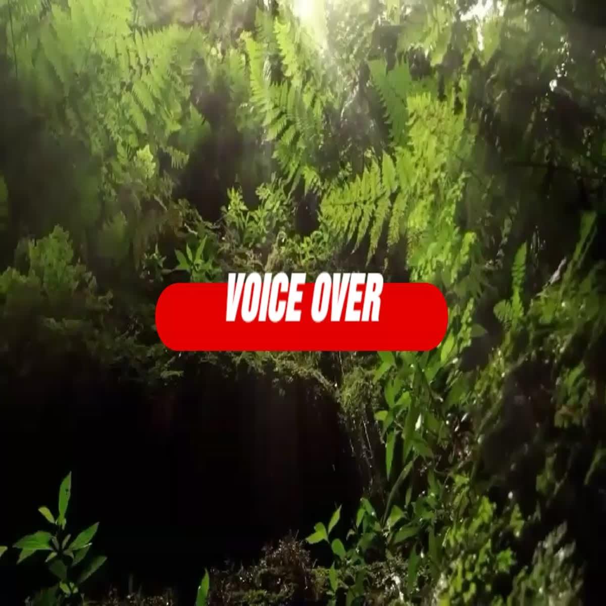 I am good at working with voiceover,We are a team working in all languages ​​of the world
