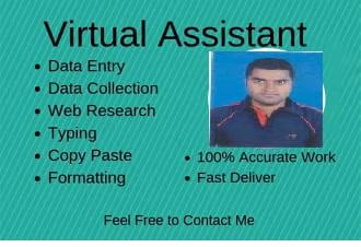  I will do data entry, web research, find business email and contacts 