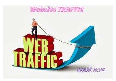 I will do UNLIMITED and genuine real Web TRAFFIC for 1 months