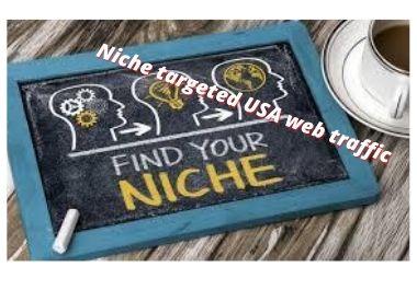 niche targeted USA website traffic