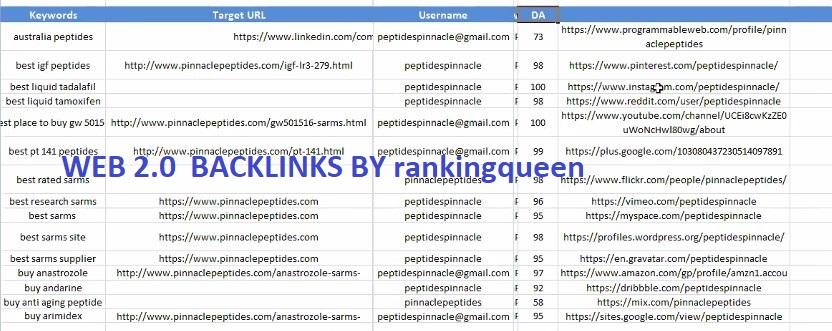 I will build 30 High Authority Niche related Web 2 Backlinks for your website