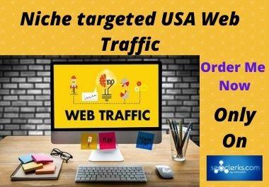 I will collect Niche targeted USA web Traffic for you