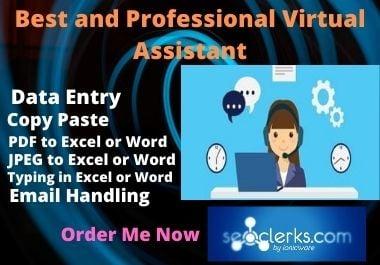 Best and professional Virtual Assistant 