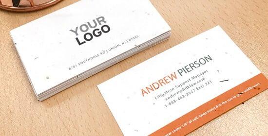 I will Create a business card logo or letterhead 
